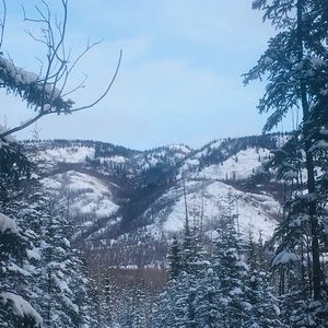 Meet your Posher, Rose